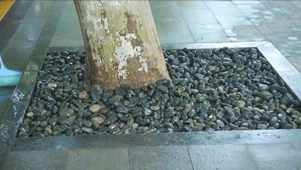 为了打造精致园林景观 居然有人要给鹅卵石“洗澡" ?