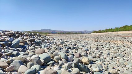 春天的洮河边原来这么美,据说这里将开发洮河湿地公园,真的吗?