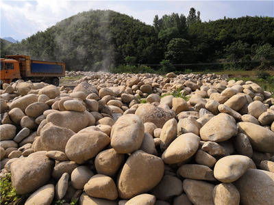 山东鹅卵石 水冲石 草坪鹅卵石 驳岸鹅卵石