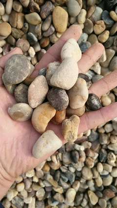 济南鹅卵石(河卵石)哪里有卖
