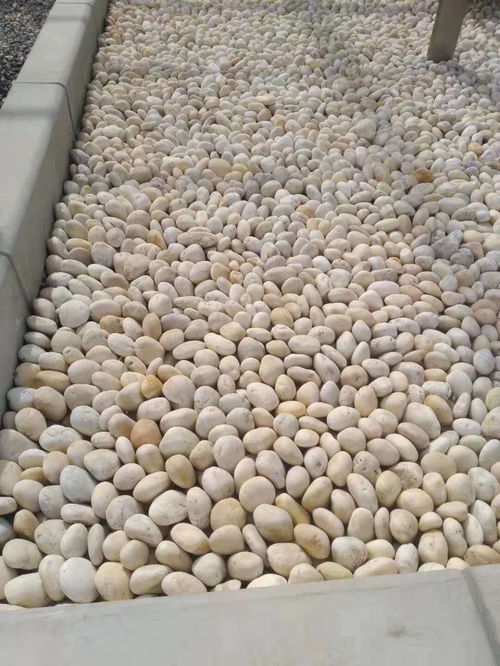 咨询 净水处理鹅卵石垫层 张家口水处理鹅卵石欢迎你