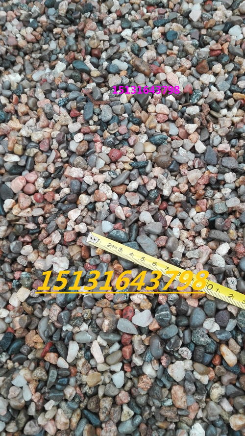 【德州天然鹅卵石永顺草坪河卵石厂家】- 