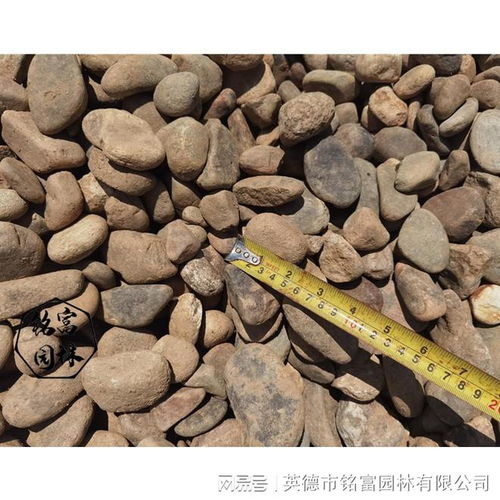 杂色鹅卵石堆场 鹅卵石变电站用石子 绿化铺造地面石材