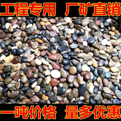 鹅卵石高档好货前3位产品点评(2024-10)