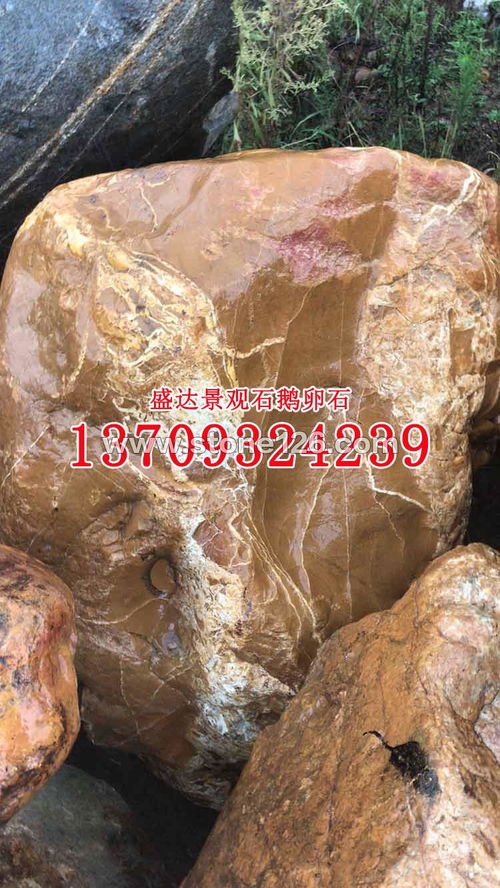 供应石狮河卵石 鹅卵石 景观石 黄蜡石 各种 石材价格