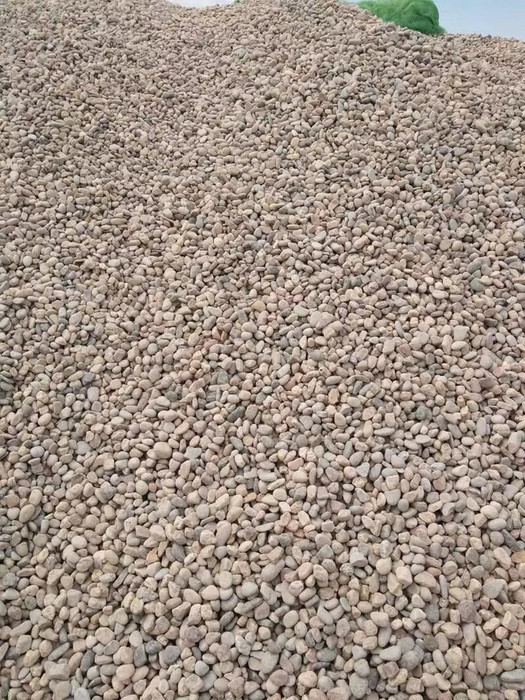 海滨 黑色鹅卵石 白色鹅卵石 园林铺路用鹅卵石
