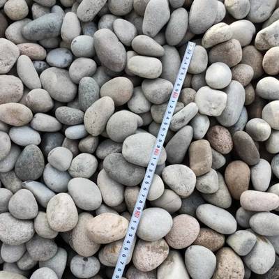 庭院小路鹅卵石 邯郸鹅卵石变压器生产厂家