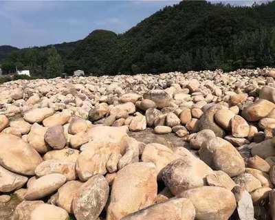 宁德河道鹅卵石河卵石人工湖铺设鹅卵石产地