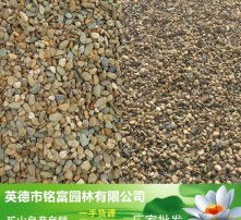 高清图片