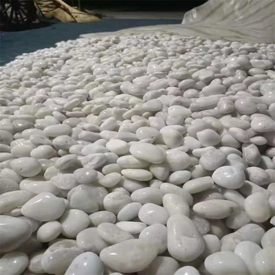 白色鹅卵石石头 园林铺路鹅卵石