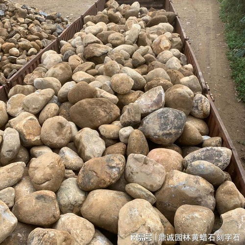 鹅卵石与河卵石 地面铺装材料的选择与来源探索